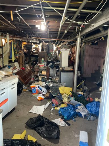 Property Cleanouts